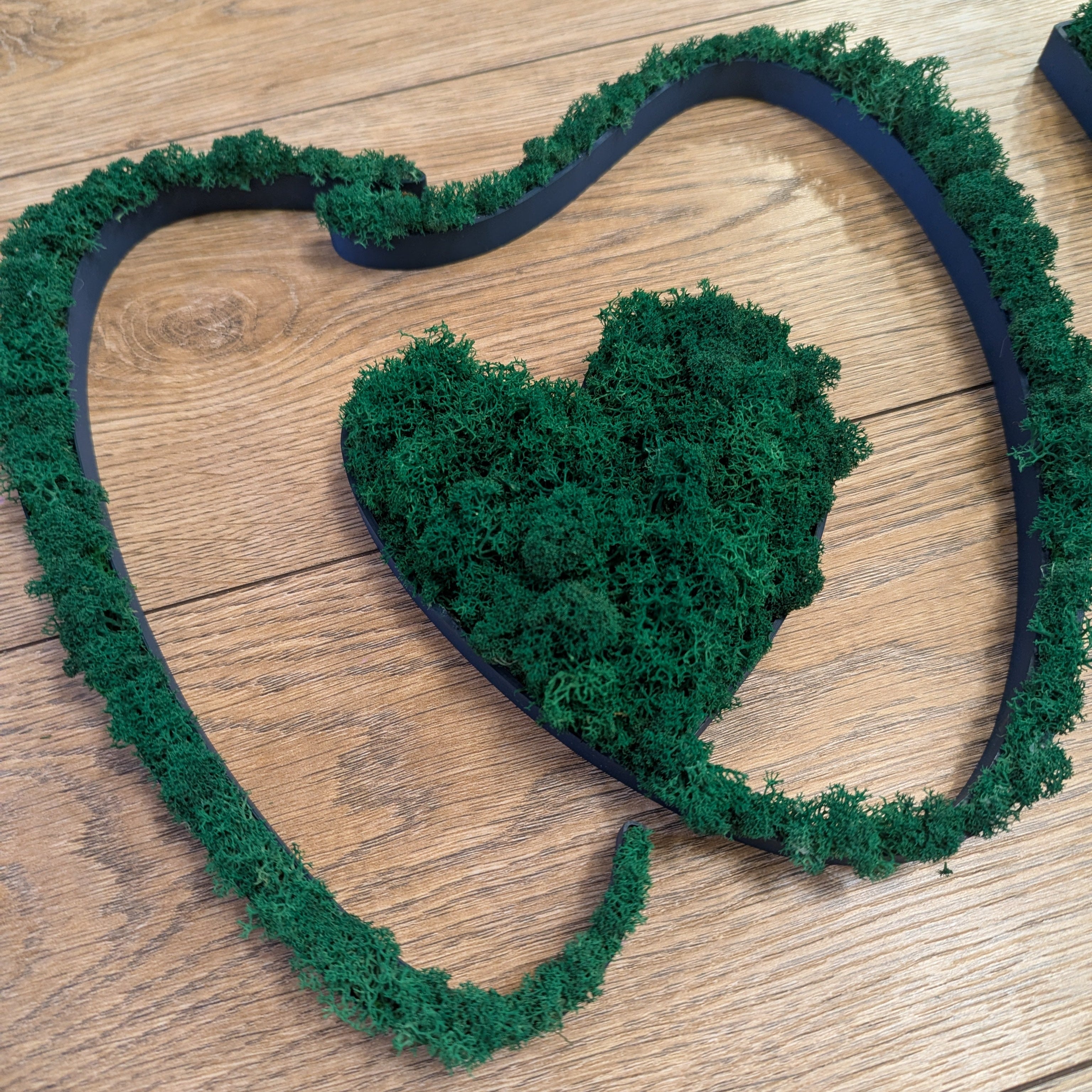 Baza do mchu chrobotka - Twoja personalizowana nazwa lub logo