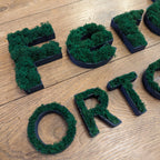 Baza do mchu chrobotka - Twoja personalizowana nazwa lub logo