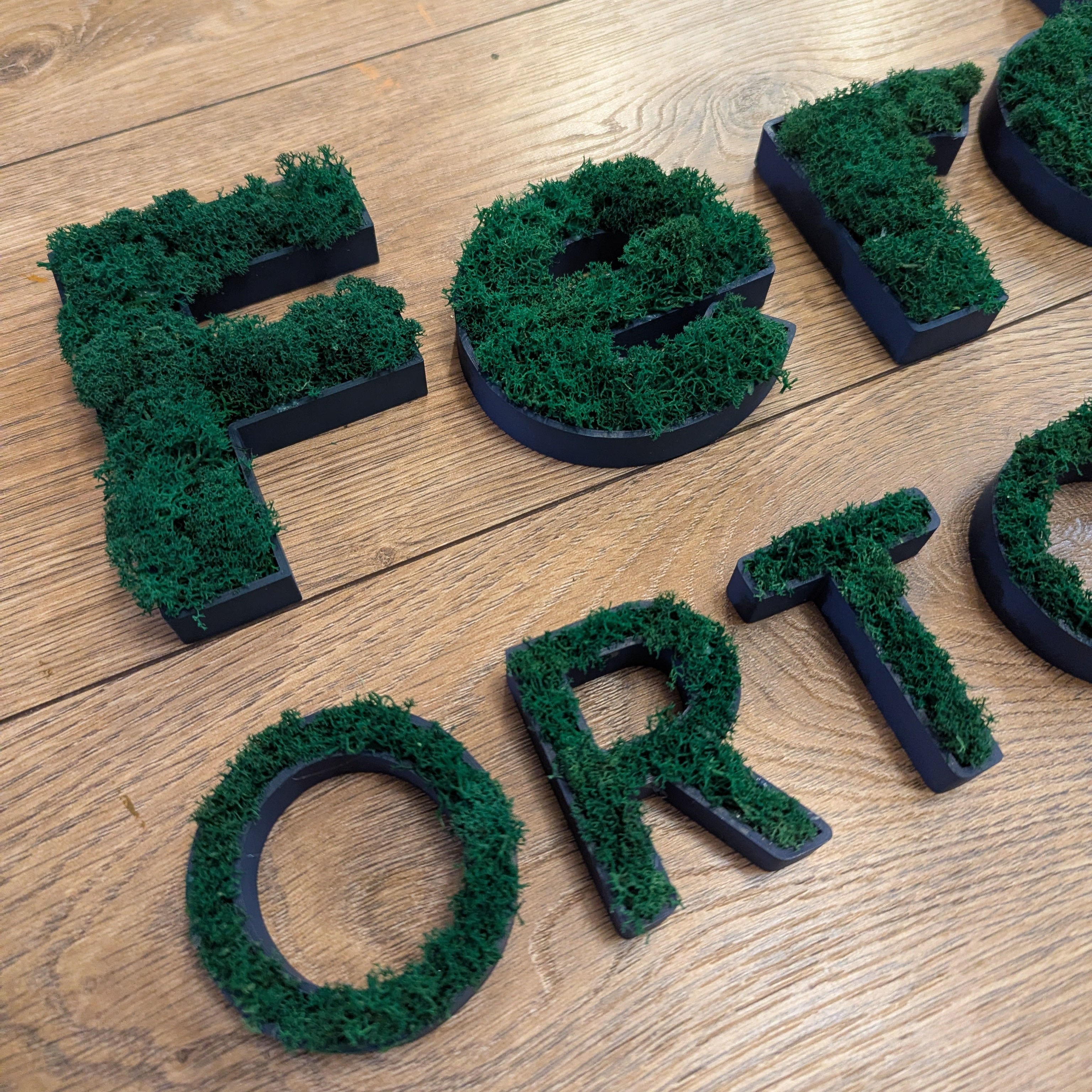 Baza do mchu chrobotka - Twoja personalizowana nazwa lub logo